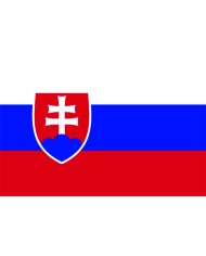 Bandera Eslovaquia exterior