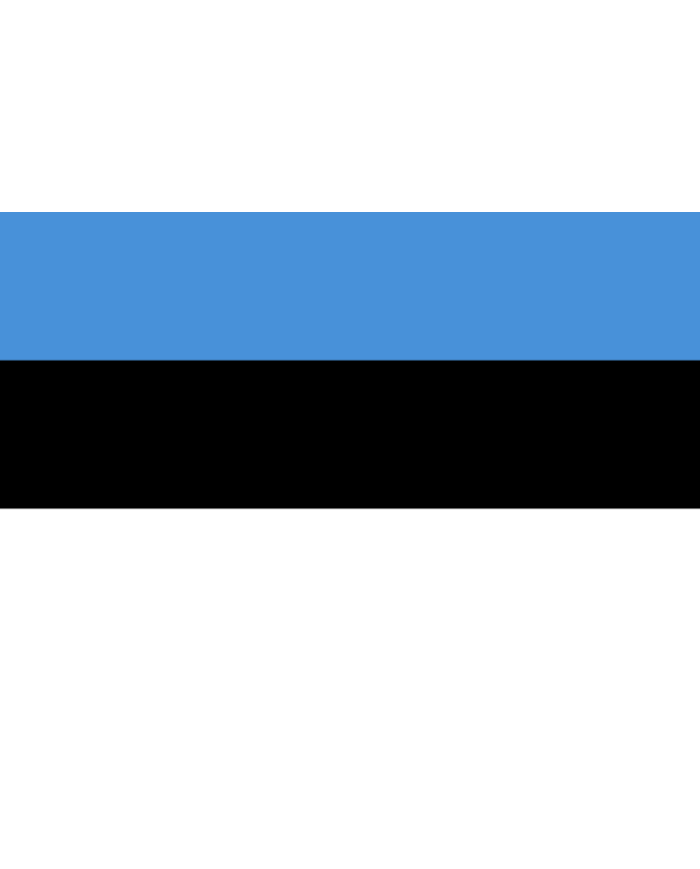 Bandera Estonia 10 x 15 cm.