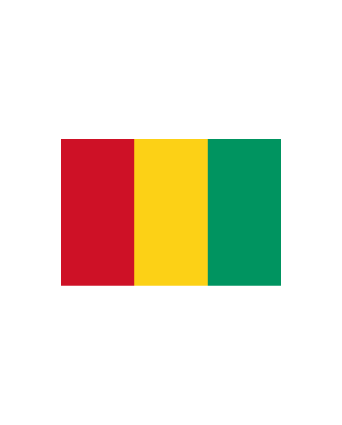 Bandera Guinea 10 x 15 cm.