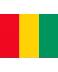 Bandera Guinea 10 x 15 cm.
