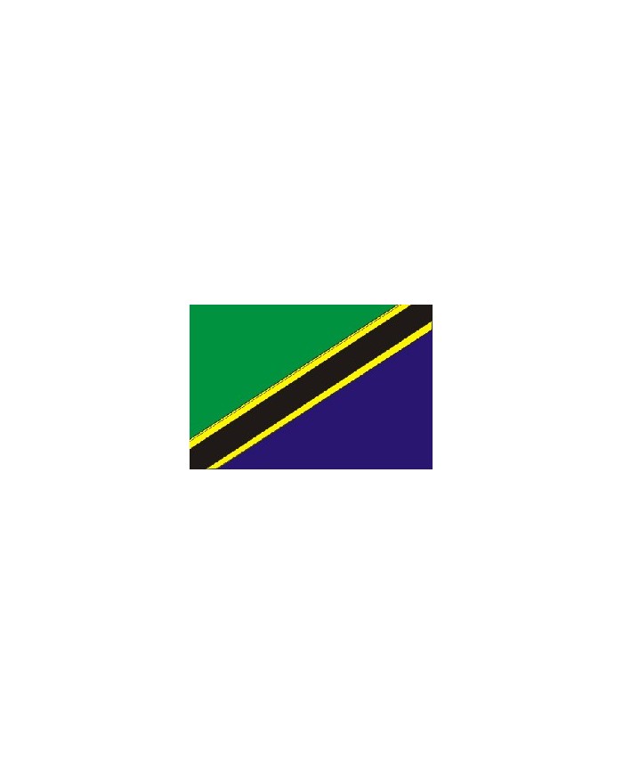 Bandera Tanzania 10 x 15 cm.