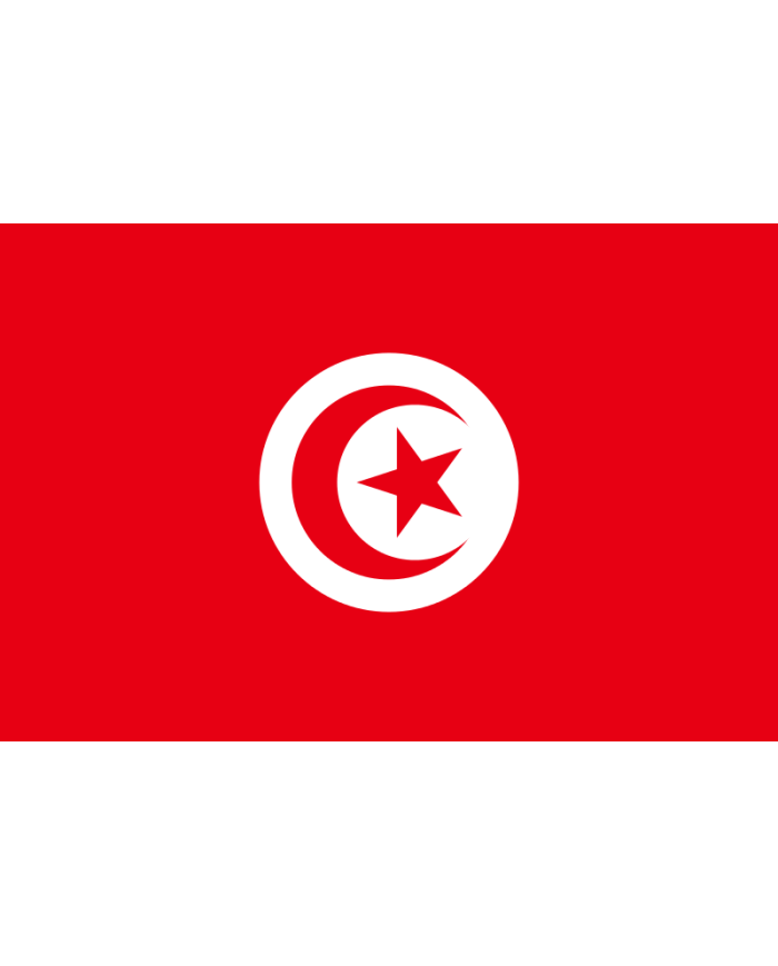 Bandera Túnez 10 x 15 cm.