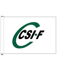 Bandera CSI-F