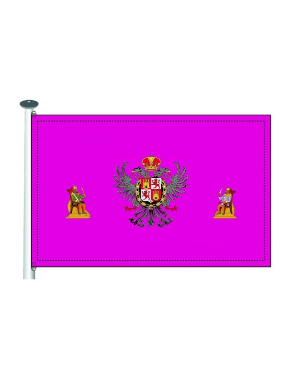 Bandera Toledo