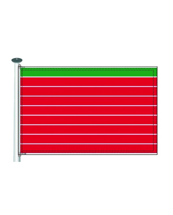Bandera Zamora