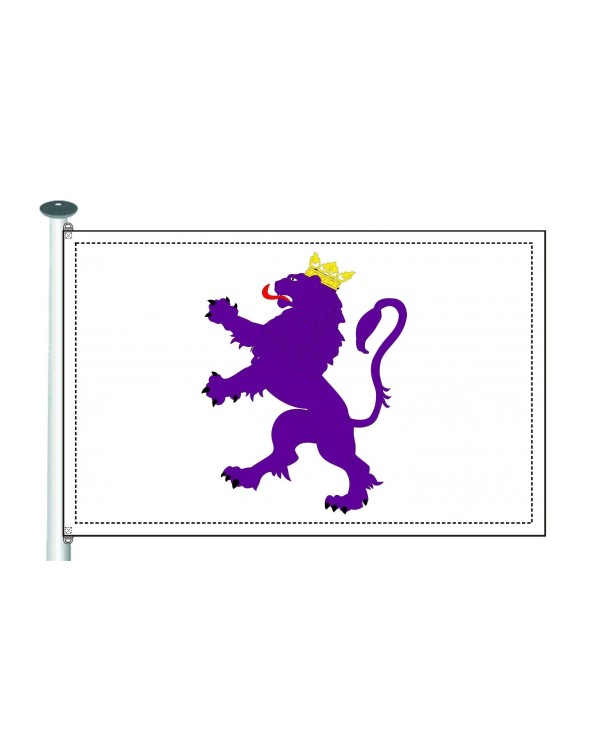 Bandera Reino de León
